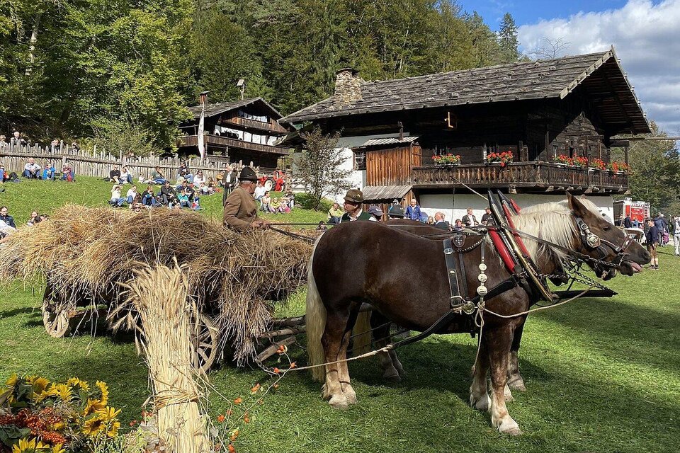 Ein Pferd vor einem traditionellen Holzhaus, das mit Heu beladen ist. Im Hintergrund sind viele Menschen auf einer Wiese versammelt. | © ÖFM