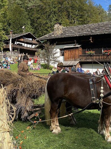 Draught horses with hay wagon  | © ÖFM | © ÖFM