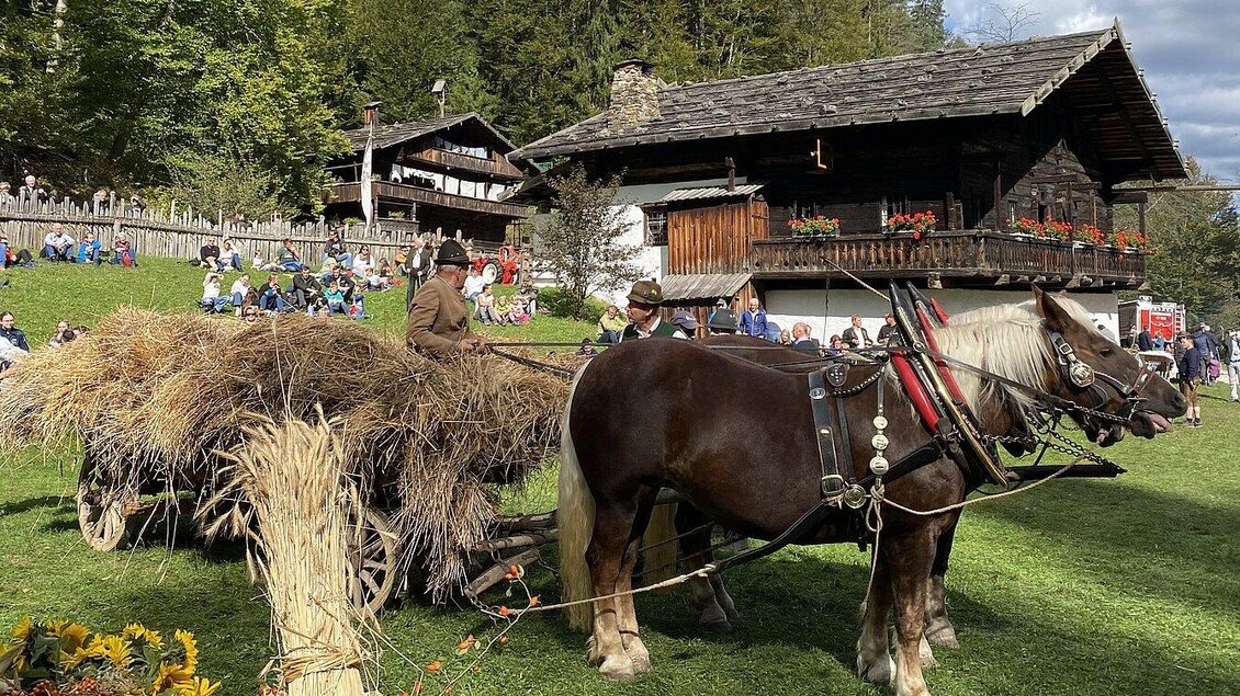Ein Pferd vor einem traditionellen Holzhaus, das mit Heu beladen ist. Im Hintergrund sind viele Menschen auf einer Wiese versammelt. | © ÖFM