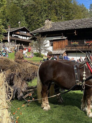 Ein Pferd vor einem traditionellen Holzhaus, das mit Heu beladen ist. Im Hintergrund sind viele Menschen auf einer Wiese versammelt. | © ÖFM