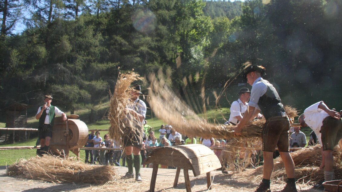 Eine traditionelle Veranstaltung im Freien, bei der Männer mit Trachten Heu bearbeiten. Im Hintergrund stehen Zuschauer, um das Geschehen zu beobachten. | © ÖFM - UMJ