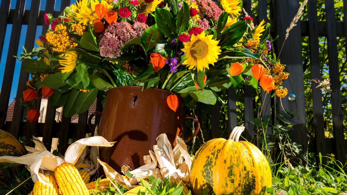 Ein bunter Blumenstrauß mit Sonnenblumen und anderen Pflanzen steht in einem Topf. Daneben liegen einige Kürbisse und Maiskolben auf dem grünen Gras.