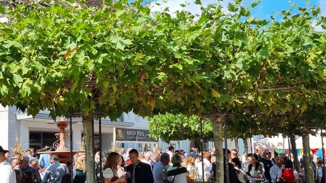 Ein belebter Platz mit vielen Menschen unter grünen Weinreben. Die Atmosphäre ist festlich und einladend. | © Stadtgemeinde Hartberg
