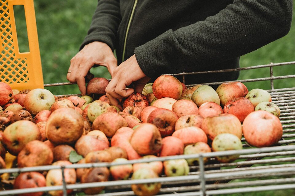 Ernte I Gesäuse I Steiermark | © NUP Eisenwurzen