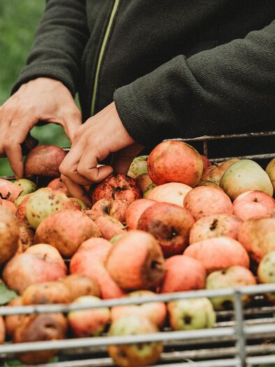 Ernte I Gesäuse I Steiermark | © NUP Eisenwurzen