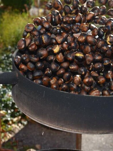 A pan full of roasted chestnuts is outside. In the background, trees and a green landscape can be seen. | © Tourismusverein Arnfels