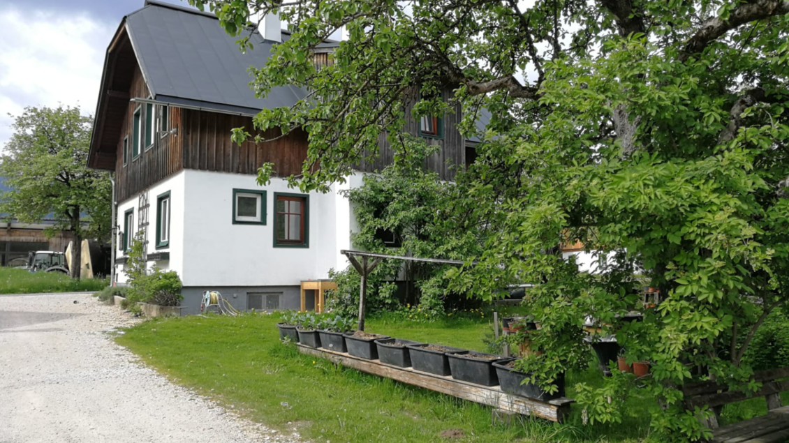 <p>Der Simalhof hat ein großes Bauernhaus mit Holz. Davor ist ein begrünter Garten. Umgeben von Bäumen und Pflanzen ist es eine landschaftliche Idylle.</p></p> | © Simalhof Obersdorf, www.simalhof.at