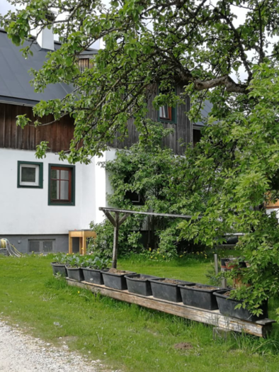 <p>The Simalhof has a large farmhouse made of wood. In front of it is a green garden. Surrounded by trees and plants, it is a scenic idyll.</p></p> | © Simalhof Obersdorf, www.simalhof.at