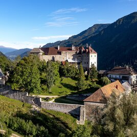 An impressive castle on a hill, surrounded by green trees and mountains. The sky is clear and sunny. | © Tom Lamm