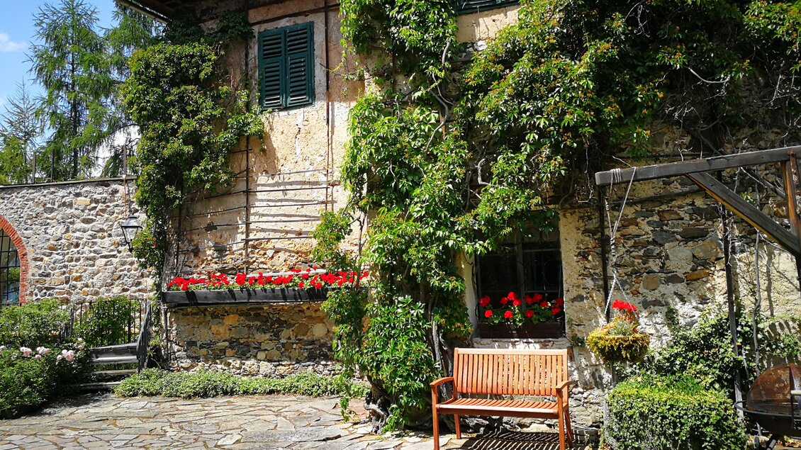 Ein charmantes Haus mit grüner Fassade und roten Blumenöffnungen. Im Vordergrund steht eine Holzbank in einem schönen Garten. | © Fam. Steiner, Rothenfels