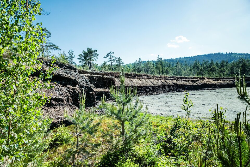 Hochmoor | © TV Südsteiermark_ Lupi Spuma