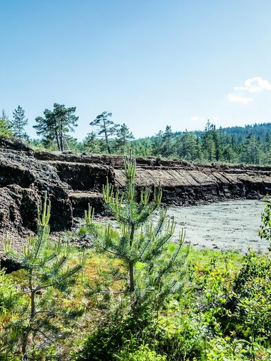 Hochmoor | © TV Südsteiermark_ Lupi Spuma