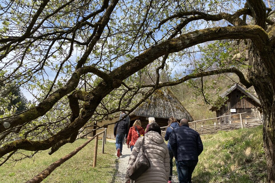 Eine Gruppe von Menschen geht auf einem Weg, umgeben von Bäumen und Wiesen. Im Hintergrund sind zwei traditionelle, strohgedeckte Hütten zu sehen. | © ÖFM