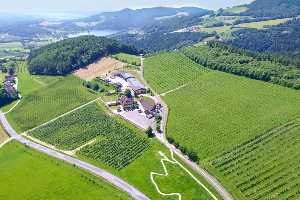 Eine Luftaufnahme eines landwirtschaftlichen Anwesens mit mehreren Gebäuden. Umgeben von grünen Feldern und einem Pool in der Mitte. | © Hödlhof_Facebook