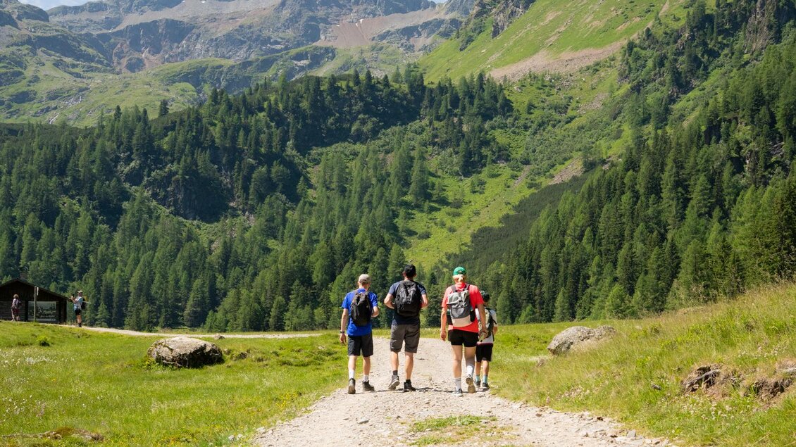 Drei Wanderer gehen auf einem Kiesweg in einer grünen Berglandschaft. Im Hintergrund sind hohe Berge und ein strahlend blauer Himmel zu sehen. | © TVB/Laura Passenbrunner