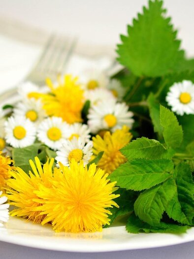 Ein Teller mit frischen, bunten Blumen und Kräutern, darunter Löwenzahn, Kamille und Minze. Die natürliche Anordnung wirkt frisch und einladend. | © pixabay.com