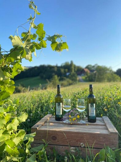 Two bottles of wine and glasses are standing on a wooden crate amidst green meadows and vineyards. In the background, gentle hills can be seen under a clear blue sky. | © Fest am Ploschitzberg | Fam. Knapp