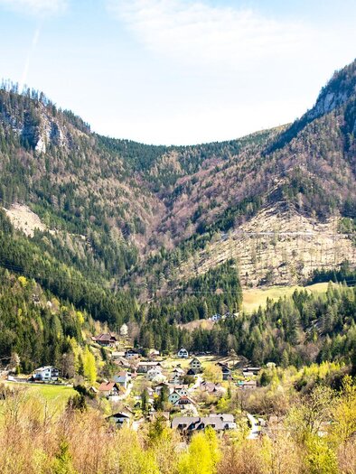 Eine malerische Berglandschaft mit grünen Wäldern und sanften Hügeln. Im Vordergrund liegt ein kleines Dorf, umgeben von majestätischen Bergen. | © TV Gesäuse