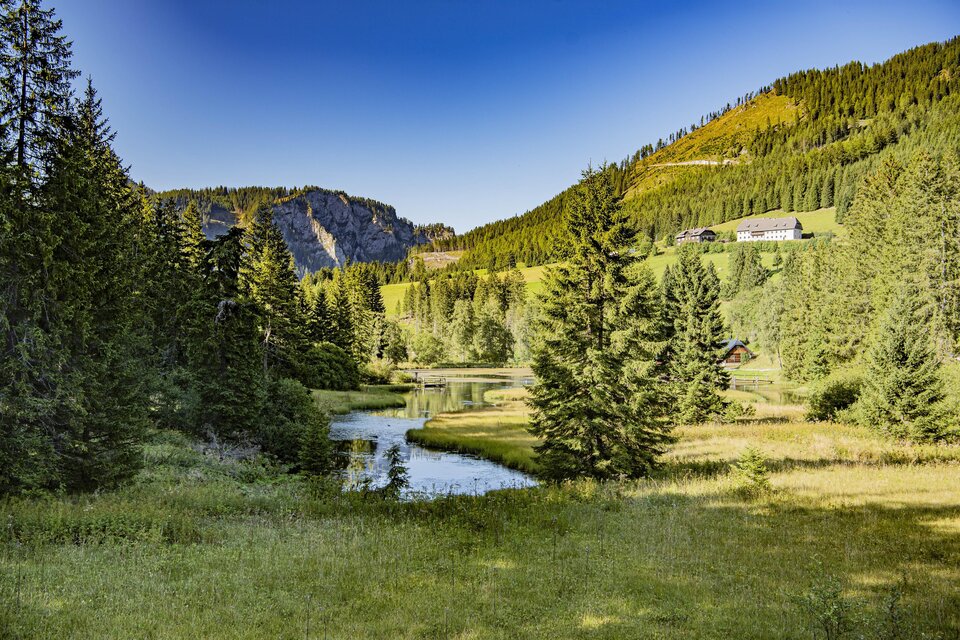 Eine ruhige Landschaft mit einem Fluss, der durch grüne Wiesen und Bäume fließt. Im Hintergrund sind sanfte Hügel und einige Gebäude zu sehen. | © Herbert Raffalt