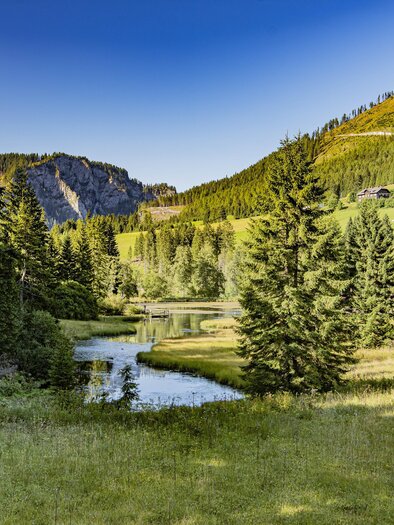 Eine ruhige Landschaft mit einem Fluss, der durch grüne Wiesen und Bäume fließt. Im Hintergrund sind sanfte Hügel und einige Gebäude zu sehen. | © Herbert Raffalt