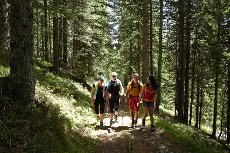 Eine Gruppe von fünf Personen wandert auf einem Pfad durch einen Wald. Die Sonne scheint durch die Bäume und sorgt für eine angenehme Atmosphäre. | © Herbert Raffalt