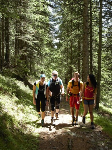 A group of five people is hiking on a path through a forest. The sun is shining through the trees, creating a pleasant atmosphere. | © Herbert Raffalt
