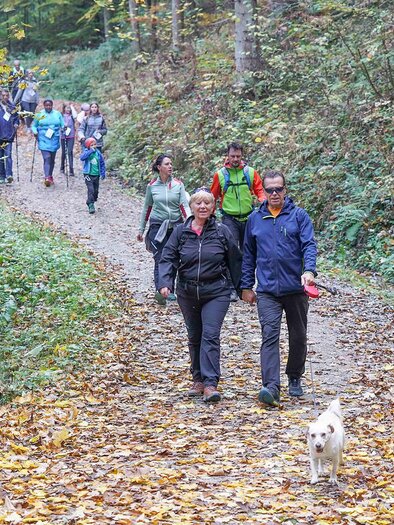 A group of people is walking along a path through an autumn forest. Some individuals have dogs with them, and there is foliage on the ground. | ©  Pressberger