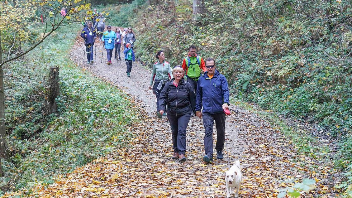 Eine Gruppe von Menschen wandert einen mit Laub bedeckten Weg entlang. Ein Hund läuft neben einem Paar, während die Bäume im Hintergrund die herbstliche Atmosphäre ergänzen. | © Foto Freisinger