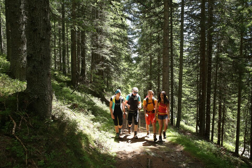 Eine Gruppe von fünf Wanderern geht einen Pfad im Wald entlang. Umgeben von hohen Bäumen genießen sie die Natur. | © Herbert Raffalt