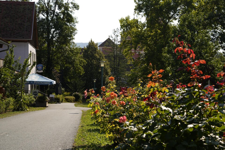 Eine malerische Straße mit bunten Blumen beidseitig. Im Hintergrund sind Bäume und ein Gebäude sichtbar. | © Tourismusverband Oststeiermark