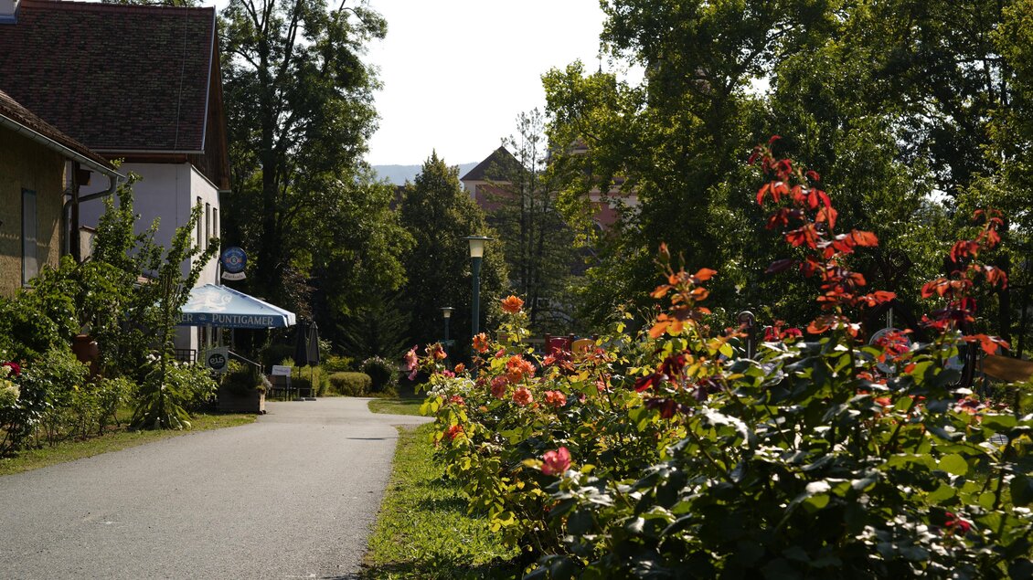 Eine malerische Straße mit bunten Blumen beidseitig. Im Hintergrund sind Bäume und ein Gebäude sichtbar. | © Tourismusverband Oststeiermark