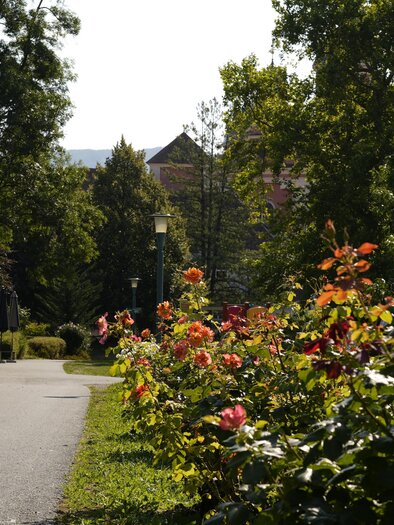 Eine malerische Straße mit bunten Blumen beidseitig. Im Hintergrund sind Bäume und ein Gebäude sichtbar. | © Tourismusverband Oststeiermark