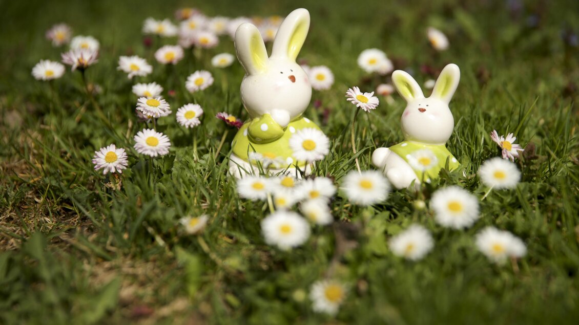 Zwei dekorative Hasenfiguren sitzen in einer Wiese voller Gänseblümchen. Das fröhliche Frühlingsbild vermittelt eine lebendige Atmosphäre. | © Steiermark Tourismus