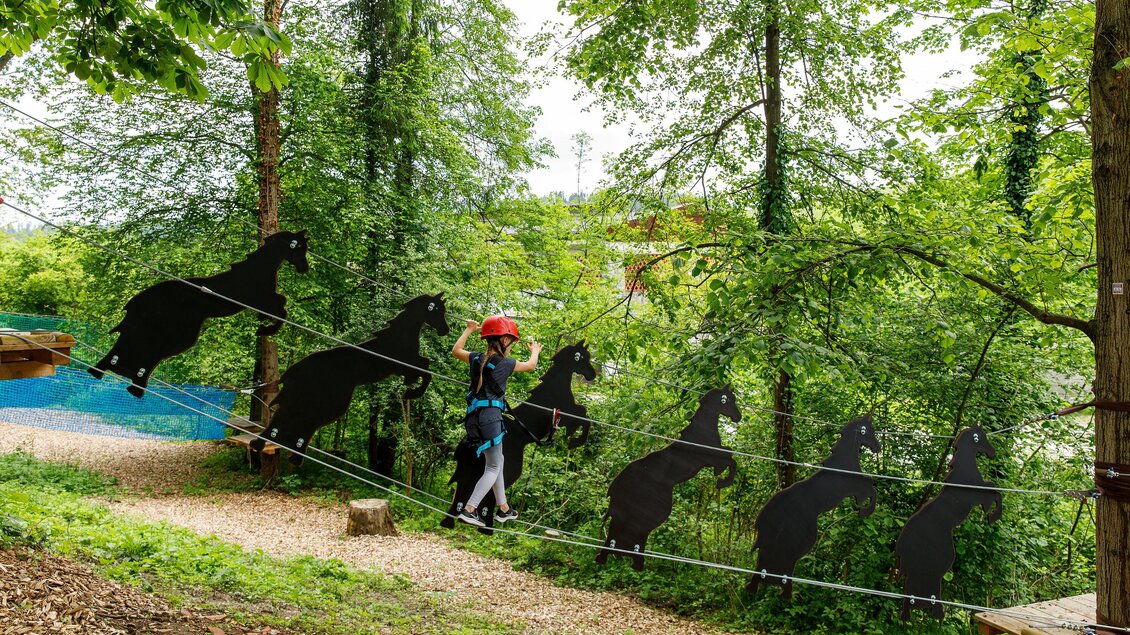 Eine Person geht auf einem Seil zwischen Bäumen, während schwarze Pferdesilhouetten im Hintergrund sichtbar sind. Die Szene zeigt eine interessante Kombination aus Natur und kreativen Elementen. | © Eddy Aldrian
