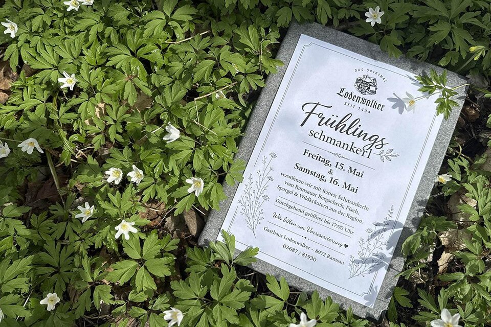 Ein Schild mit Informationen zu einem Frühlingsschmankerl-Event liegt auf einem grünen, blühenden Boden. Rundherum sind weiße Blüten zu sehen.