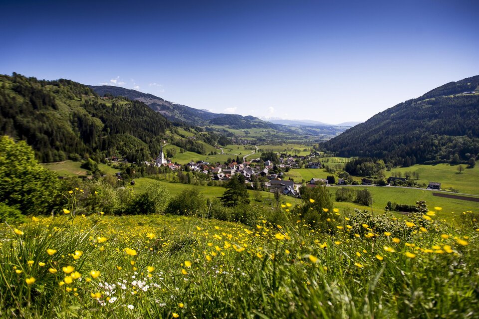 Blick auf Schöder | © TV Murau