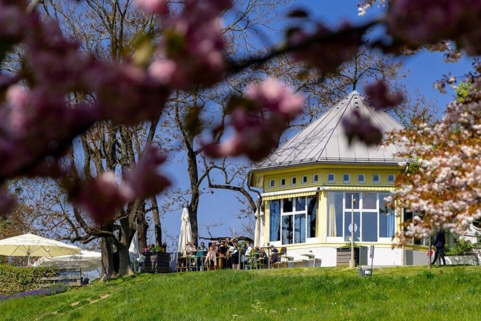 Ein schöner Pavillon umgeben von blühenden Bäumen und grünem Gras. Im Hintergrund sind Menschen, die die frische Luft genießen. | © graz-tourismus-harry-schiffer