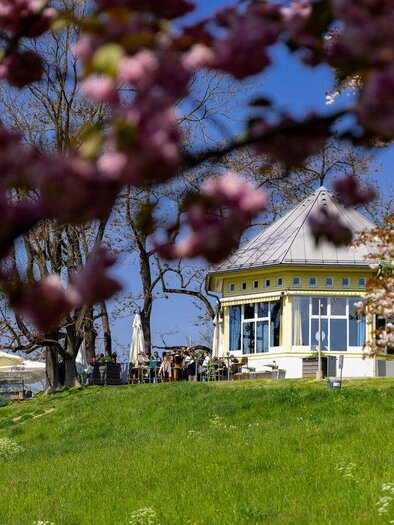 A beautiful pavilion surrounded by blooming trees and green grass. In the background, there are people enjoying the fresh air. | © graz-tourismus-harry-schiffer