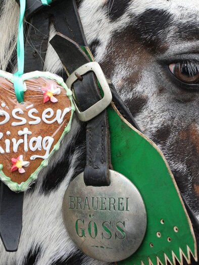 A spotted horse is wearing a gingerbread heart with the inscription "Gösser Kirchtag". The horse has a green bridle and a silver medal. | ©  Foto Freisinger