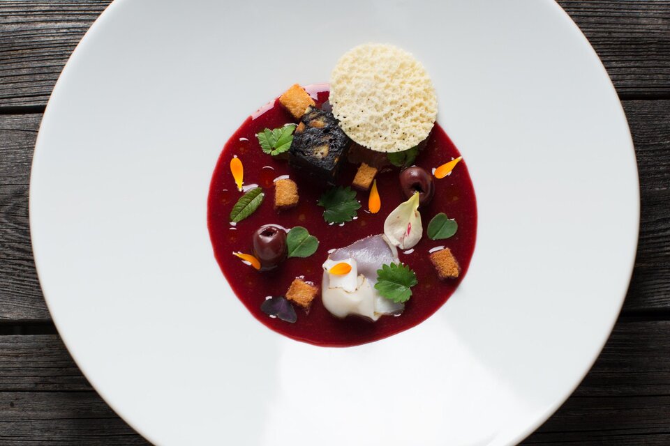Ein kunstvoll angerichtetes Gericht auf einem weißen Teller. Es besteht aus einer roten Sauce, verschiedenen Gemüsestücken und einer knusprigen Garnitur. | © Der WILDe EDER