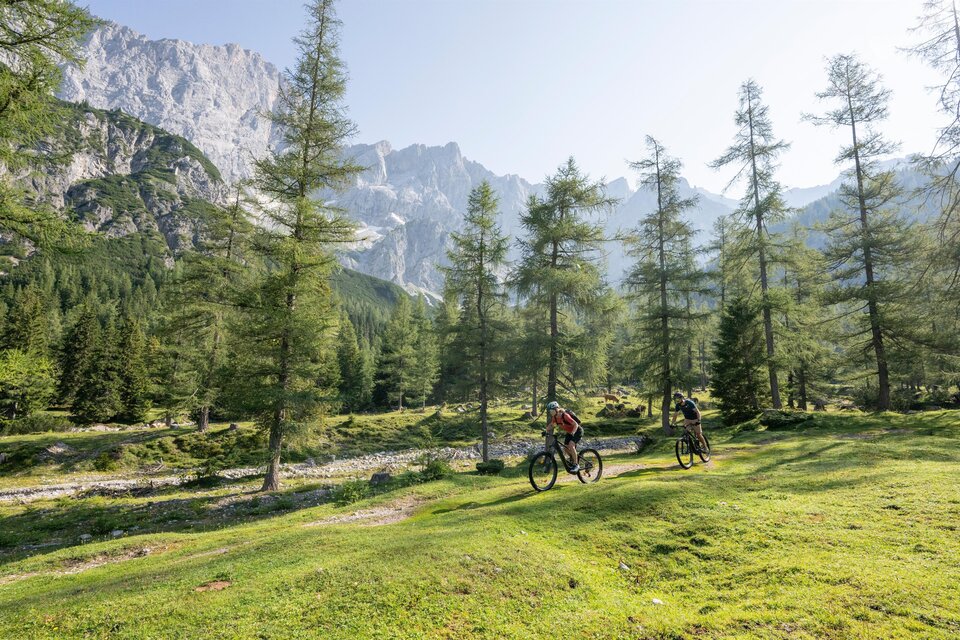 Zwei Radfahrer fahren durch eine grüne Waldlandschaft. Im Hintergrund sind hohe Berge und ein klarer Himmel zu sehen. | © Bike Tour Neustattalmen (c) Lorenz Masser