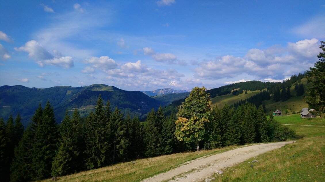 Eine malerische Landschaft mit sanften Hügeln und einer breiten, geschotterten Straße. Im Hintergrund sind grüne Wälder und ein klarer Himmel mit einigen Wolken zu sehen. | © Michael Geißler