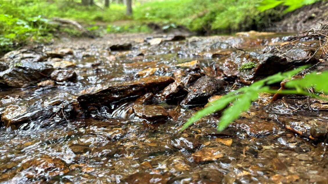Klarer Bach fließt über Steine durch den Wald entlang des Wanderwegs zum Großofen bei Modriach. | © Kohlbacher