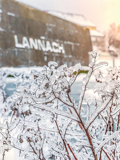 Lannach Winterbild | © Petru Rimovetz