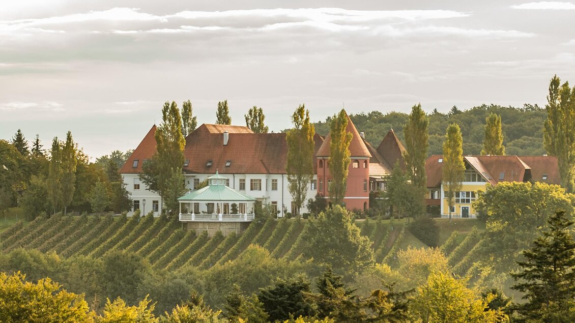 Ein malerisches Anwesen mit verschiedenen Gebäuden und schönen Gärten. Im Hintergrund erstrecken sich Weinreben unter einem sanften Himmel.
