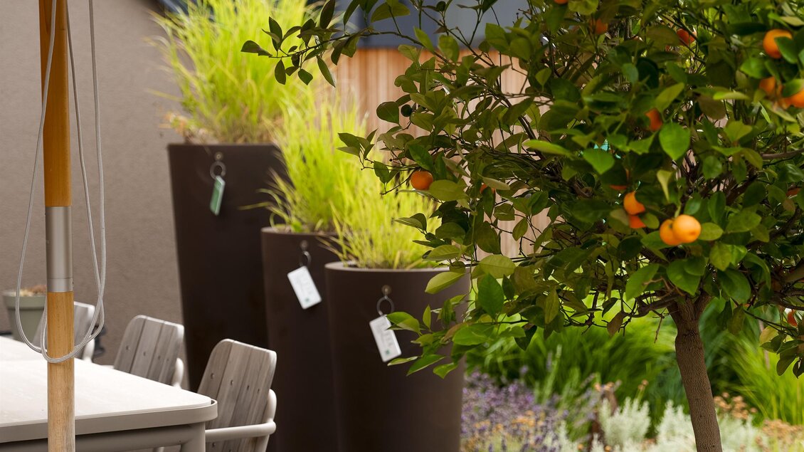 Toria Schaugarten 2 | © Firma Toria