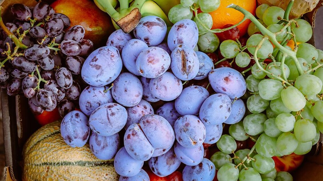 Ein Korb voller frischer Früchte, darunter Trauben, Pflaumen, Äpfel und Bananen. Die Farben sind lebhaft und appetitlich. | © Foto Freisinger