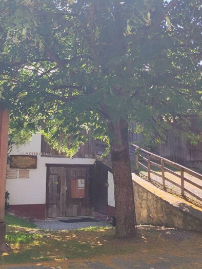 A summery day with bright blue sky.  
Among the green leaves of a tree, an entrance can be discovered, which blends somewhat hidden into the natural surroundings. | © TVB Ausseerland