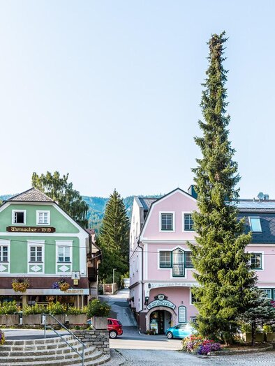 A picturesque street with colorful houses and green trees. The surroundings are calm and inviting. | © Thomas Sattler
