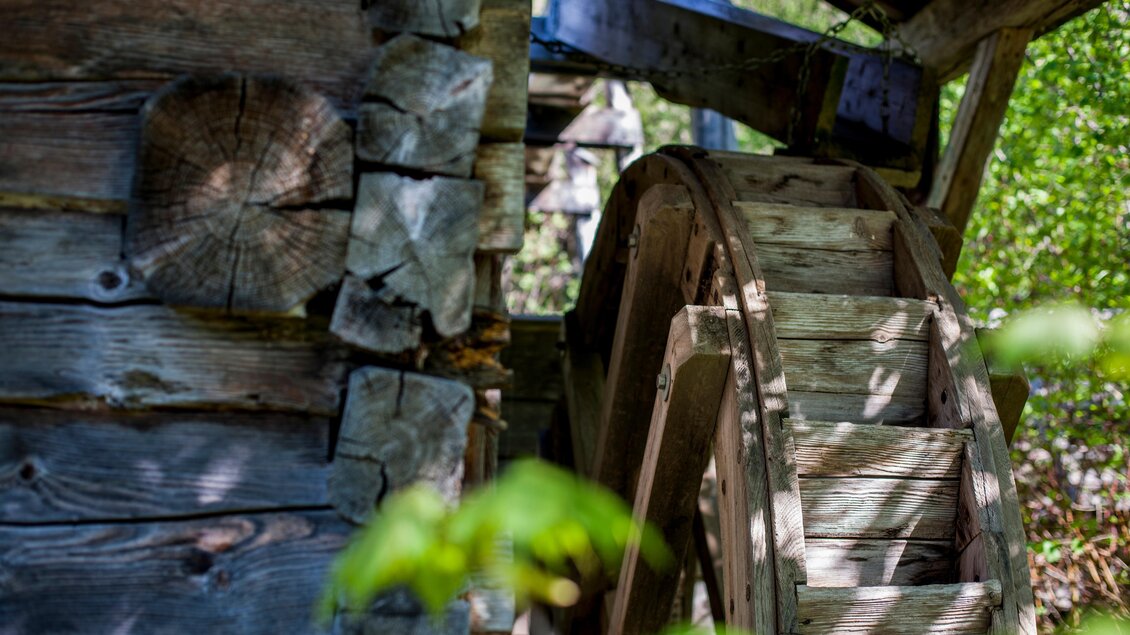 Ein Holzrad in der Nähe eines alten Wasserrads. Umgeben von grünen Blättern und sonnigem Licht. | © Holzmuseum